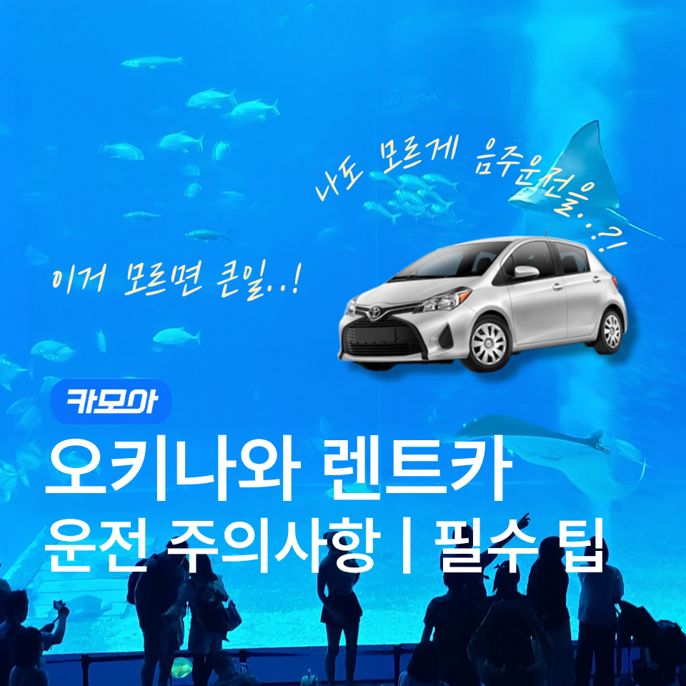 포스팅 메인이미지
