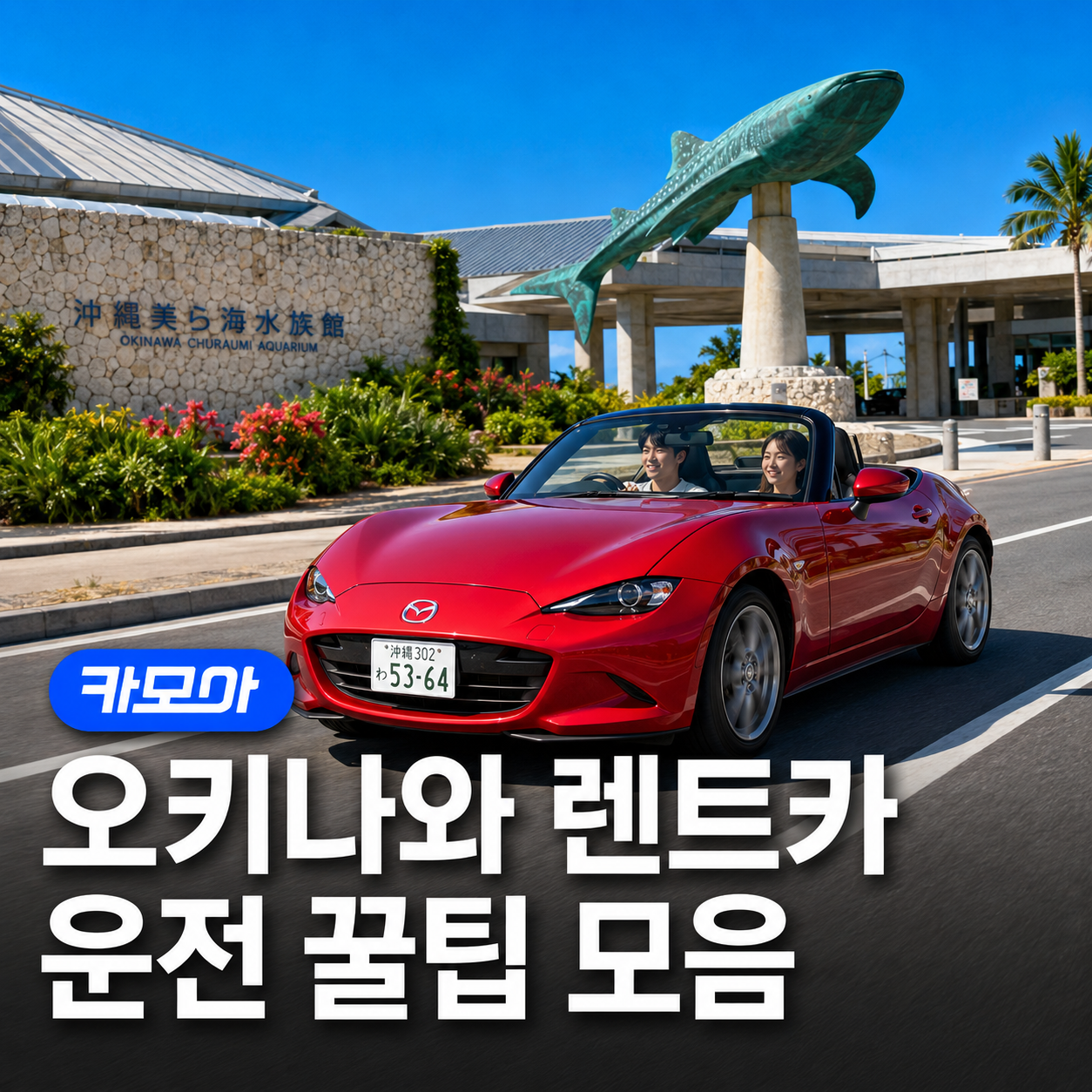 오키나와 렌트카 운전 꿀팁 꼭  알아야 할 주의사항! - 2026 최신 | 카모아