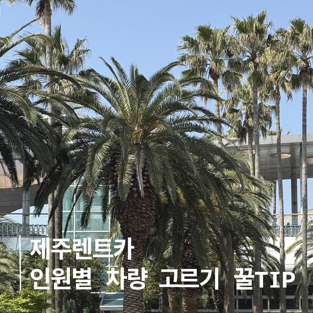 포스팅 메인이미지
