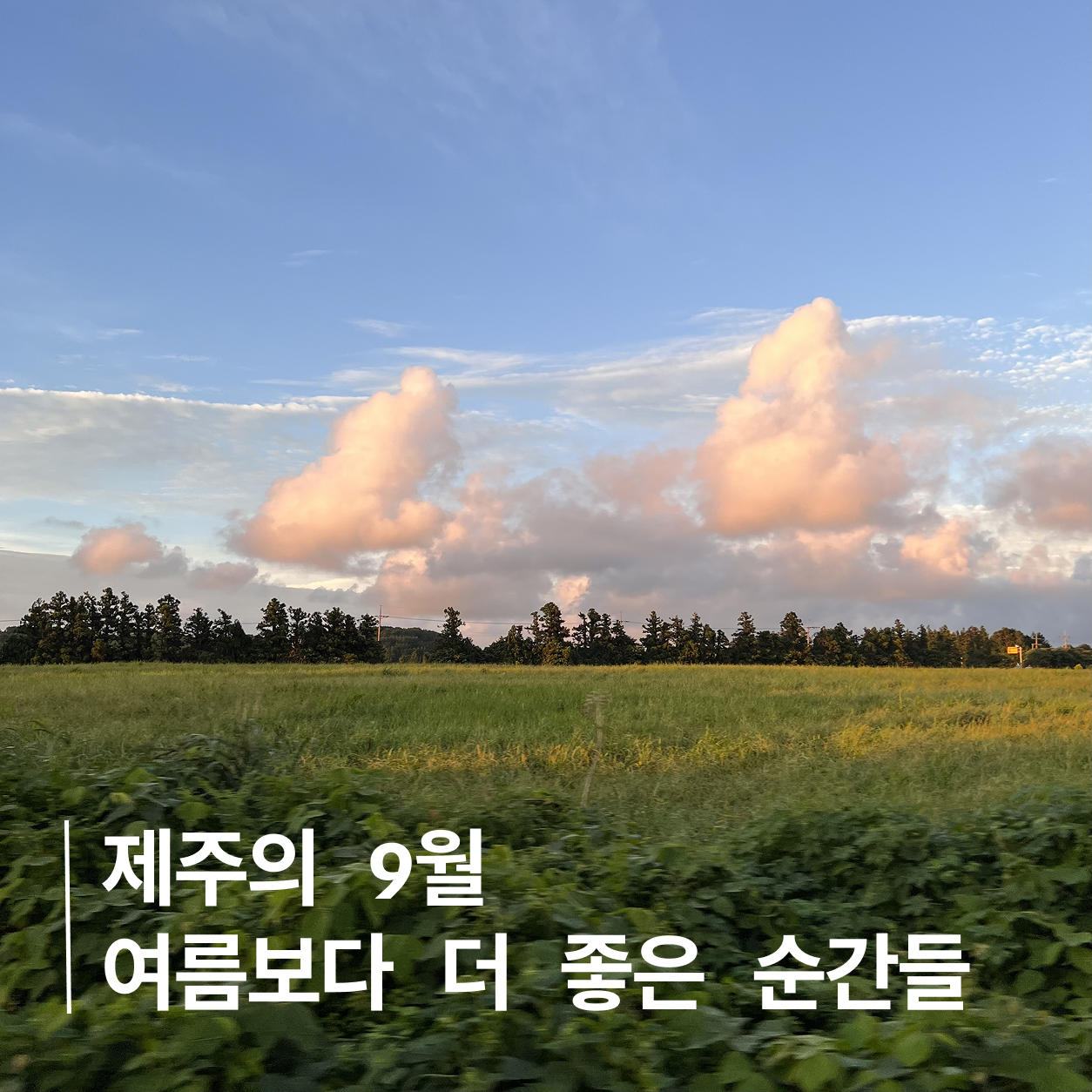 포스팅 메인이미지