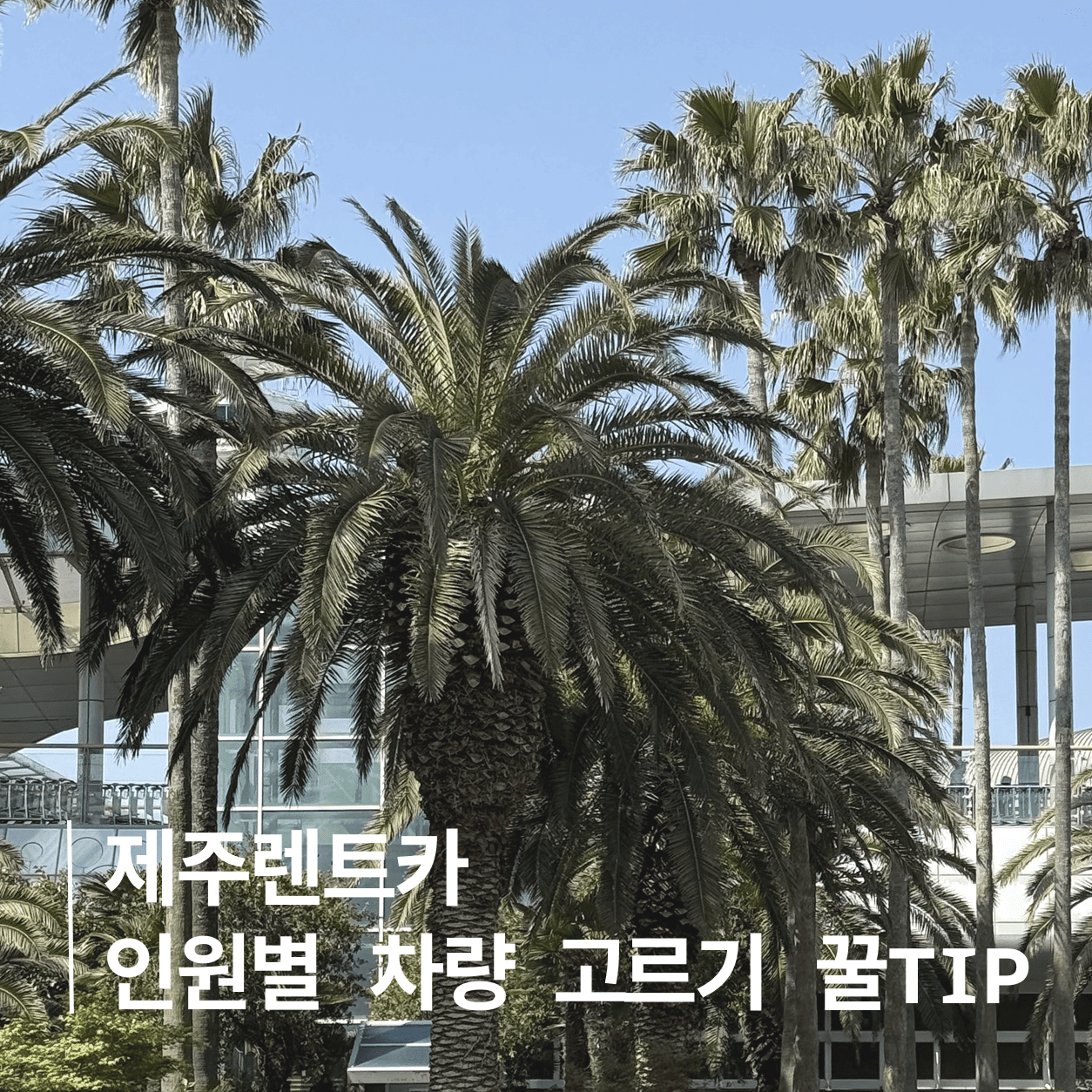 제주 렌트카, 여행 인원별로 이렇게 고르세요!