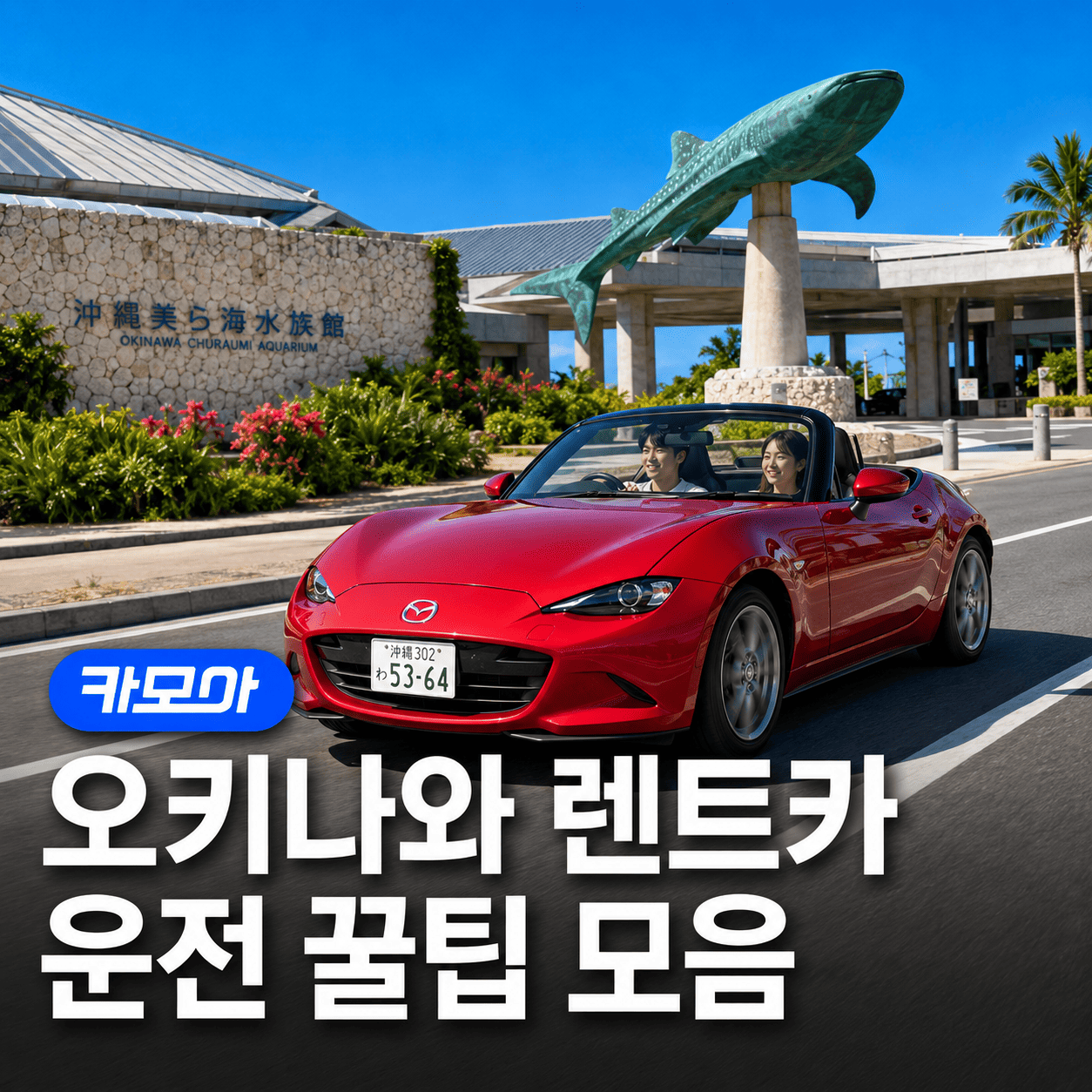 오키나와 렌트카 운전 꿀팁 꼭  알아야 할 주의사항! - 2026 최신 | 카모아