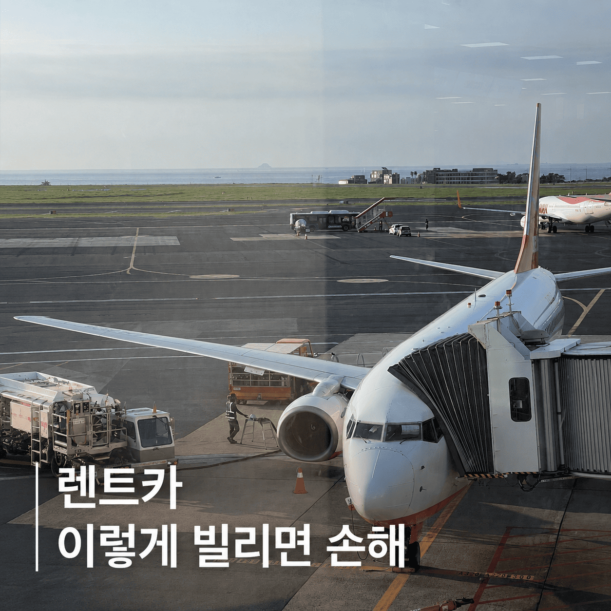 제주 렌트카, 이렇게 빌리면 손해! 여행 전에 꼭 알아야 할 7가지