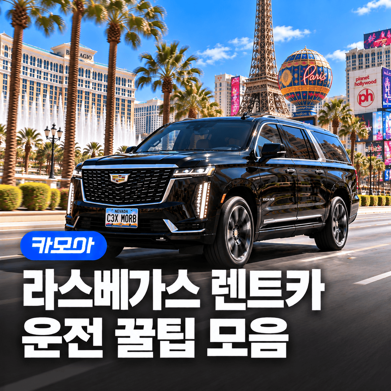 포스팅 메인이미지