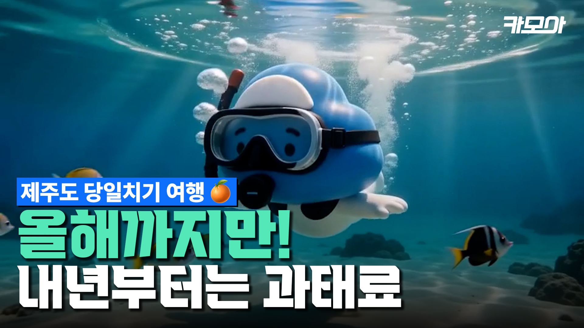 내년이면 못 가는 제주 물놀이 명소📍 하루 만에 제주 서부 완전정복｜당일치기 렌트카 코스