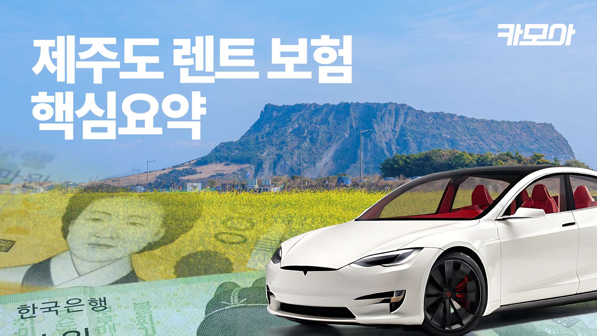 🏝제주도 렌트보험 핵심요약! | 🍯달달한 렌트카 가이드 | 렌트카 꿀팁 | 보험 정리