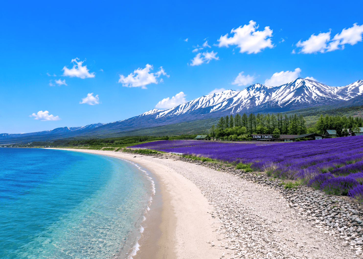 삿포로렌트카 최저가 예약